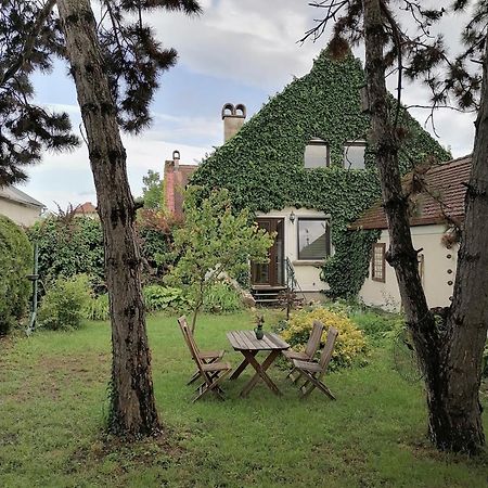 Gartenapartment Storchenblick Weiden am See Exteriér fotografie
